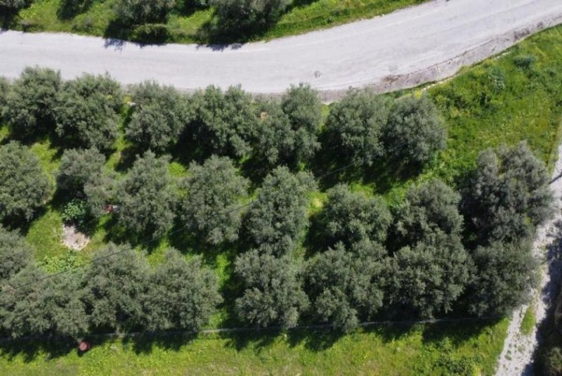 Tavronitis Kreta, Tavronitis: Erstklassiges Grundstück in der Nähe des Strandes zu verkaufen Grundstück kaufen